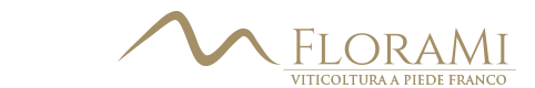 Florami Logo Footer