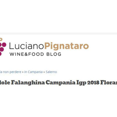 Luciano Pignataro discovers temperament