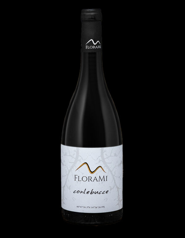 CONLEBUCCE FALANGHINA I.G.P BIO